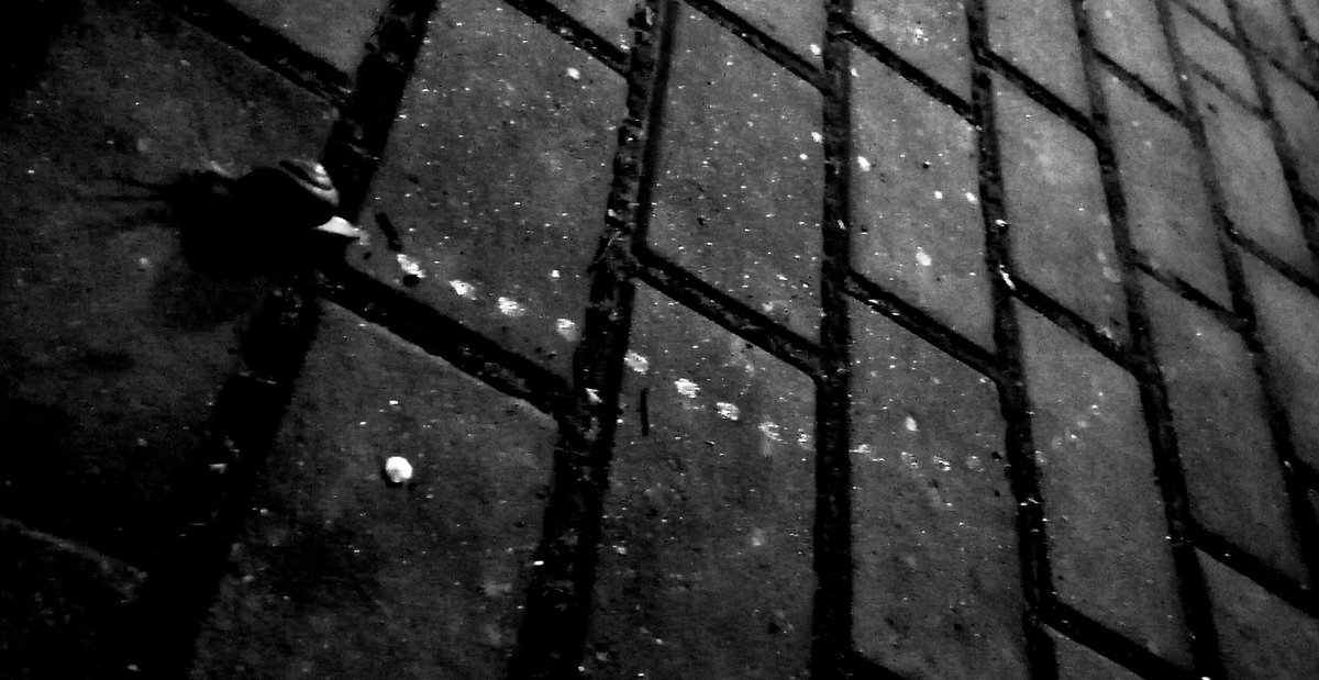 haden öz tweet media