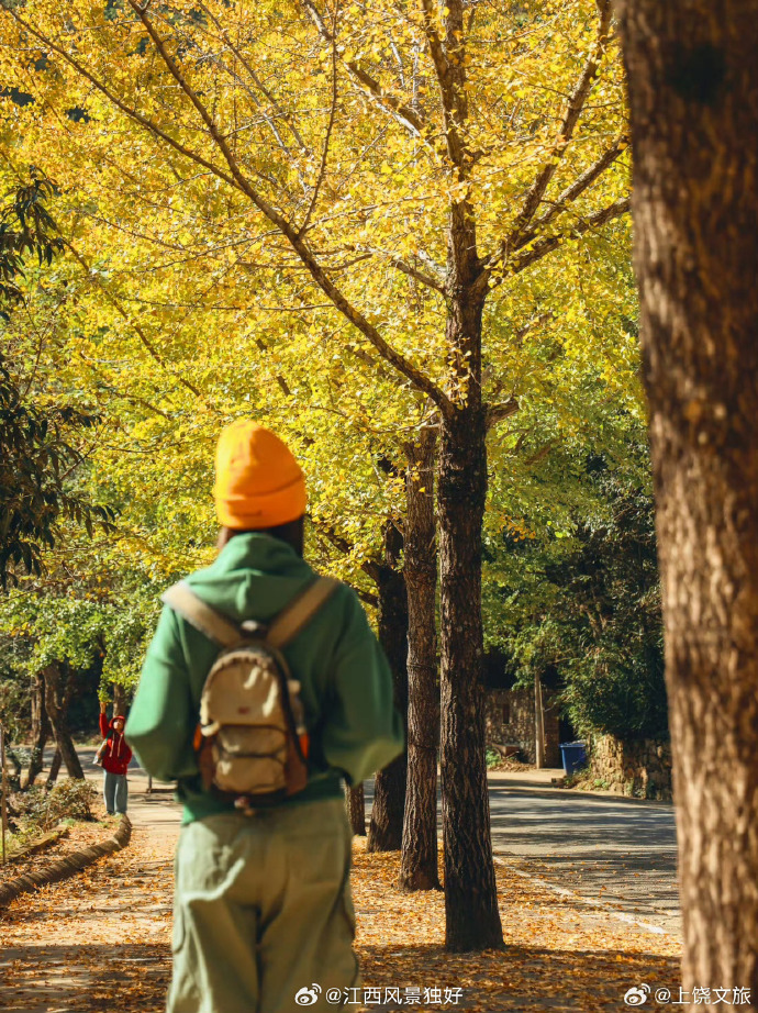 Matty Mox tweet media