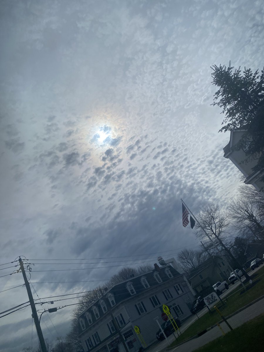 Dr. Naomi Wolf. 8 NYT Bestsellers. DPhil, Poetry. tweet media