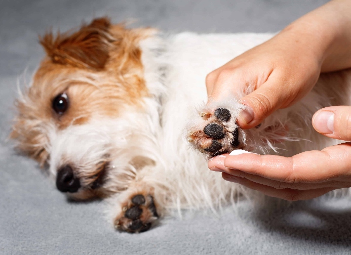 Sara B. Hansen tweet media