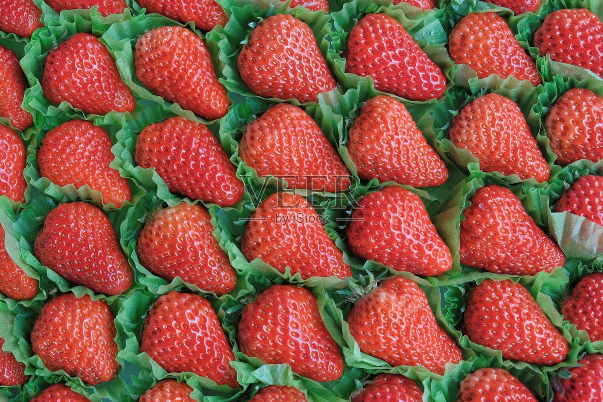 Joanne Scott tweet media