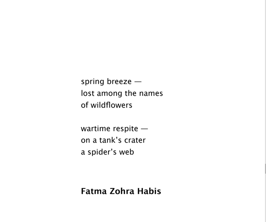 Fati Hab tweet media