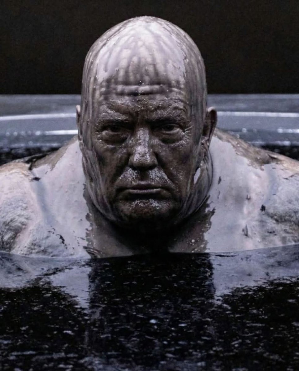 Nostra, House of Gold tweet media