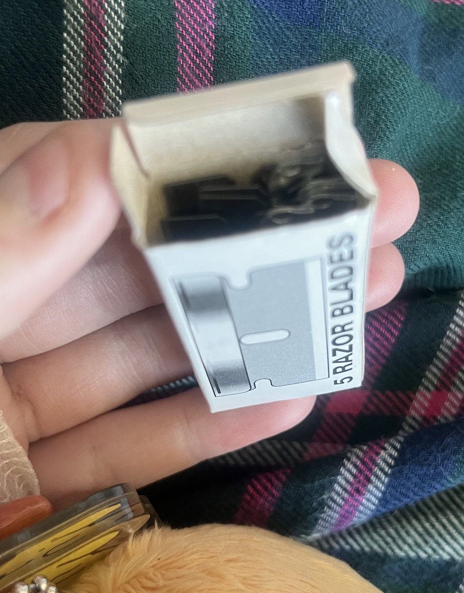 REI 𑣲 tweet media