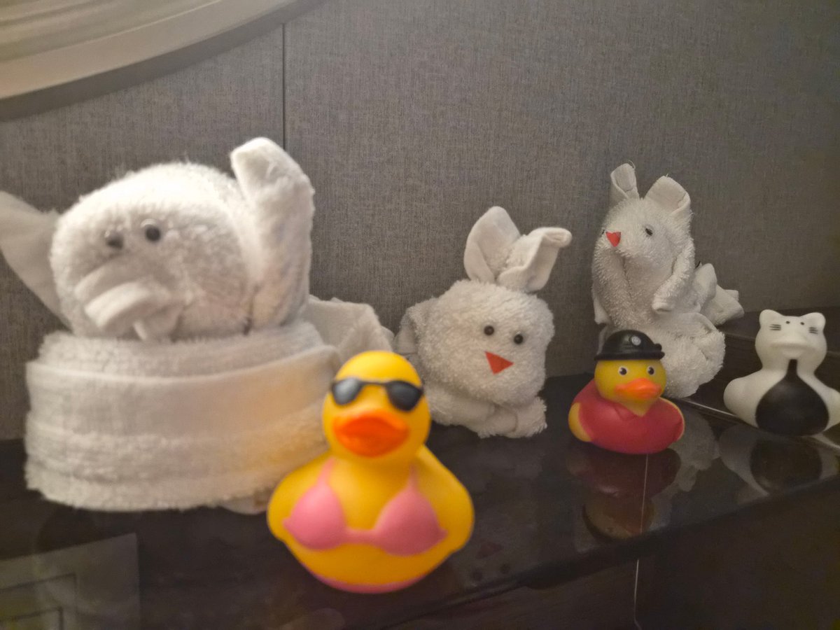 FortZumwalt EarlyEd tweet media