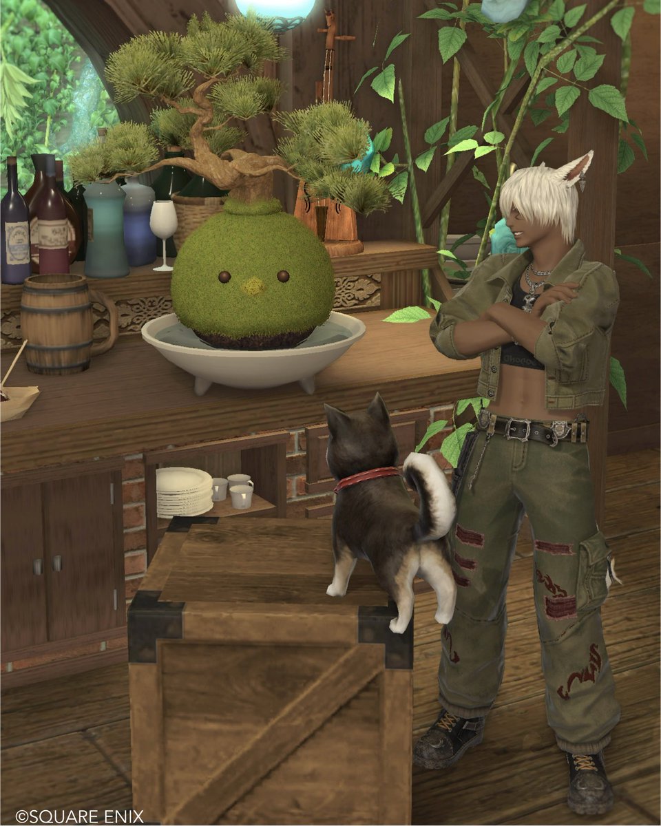 ミキ🌱Ferne tweet media