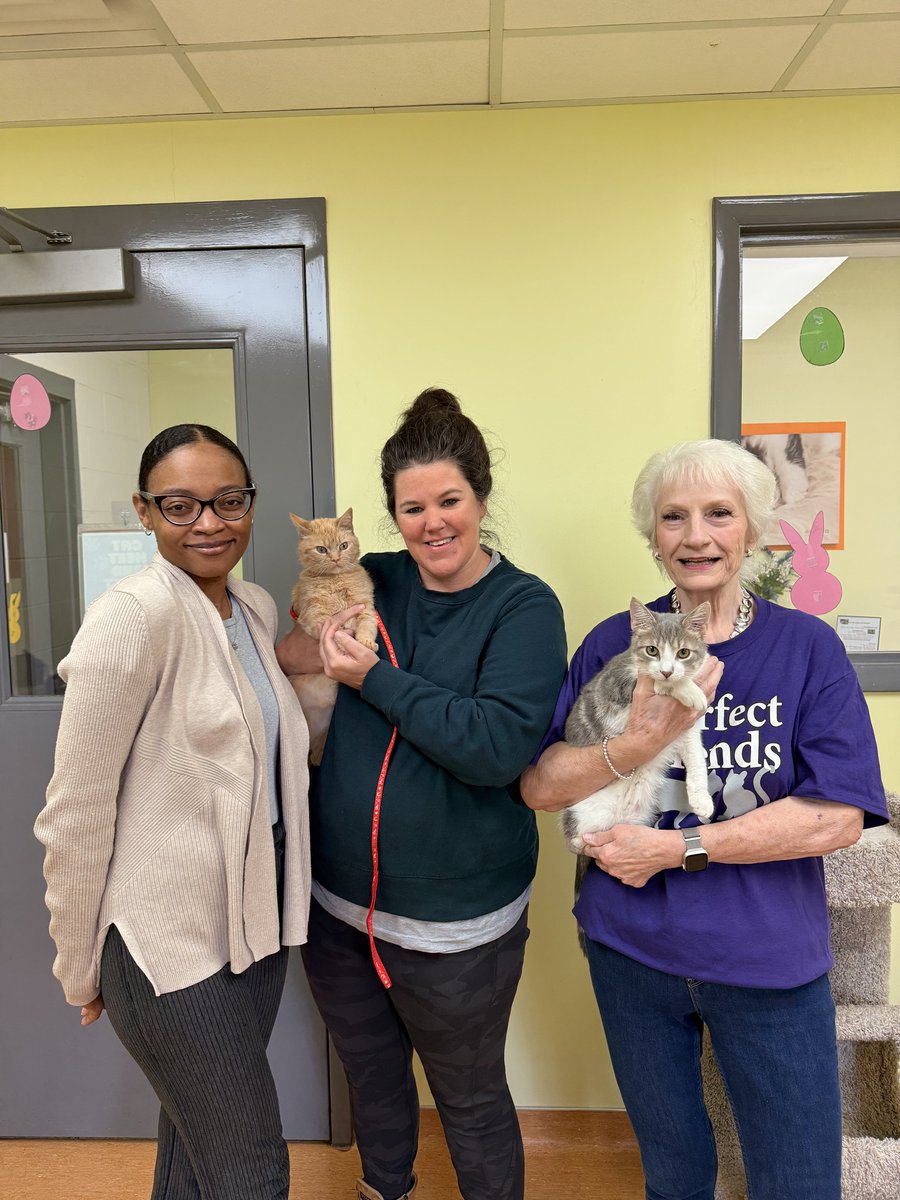 SPCA Cincinnati tweet media