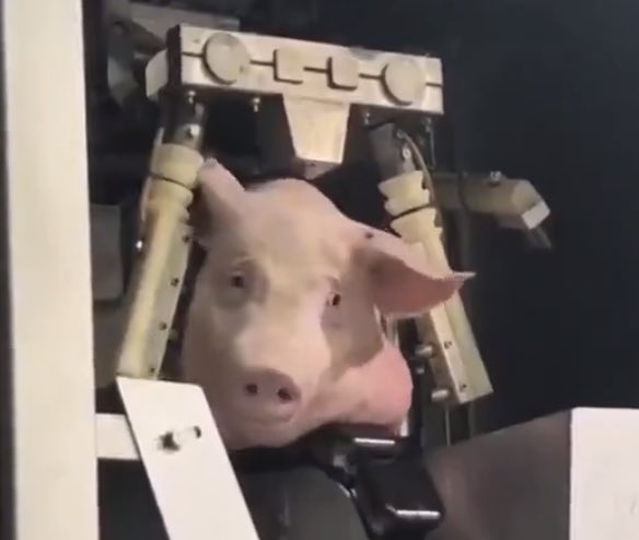 𝓐𝓶𝓷•❀🇲🇦⭐️⭐️ tweet media