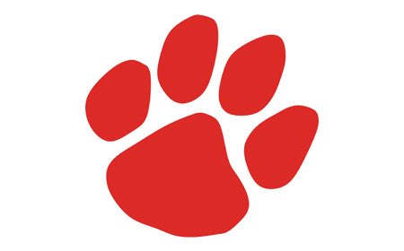 Anthony Kirk tweet media