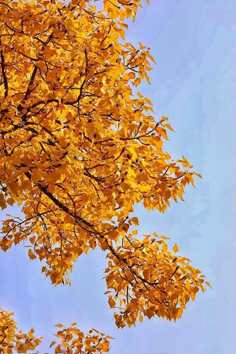 Jennifer Weiss tweet media