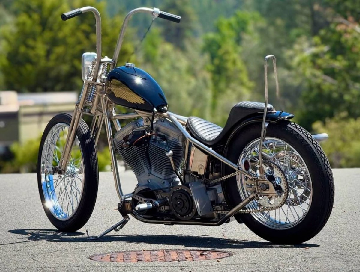 Bikersinc tweet media