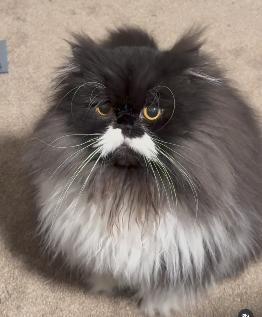 🍔 Hugo 🍔 tweet media