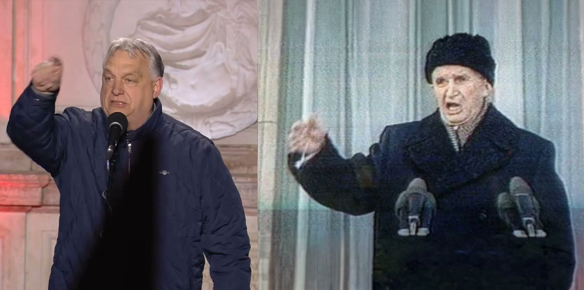 Alfred the Hungarian tweet media