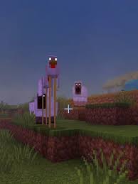 ♡ Skullz ☠️ tweet media