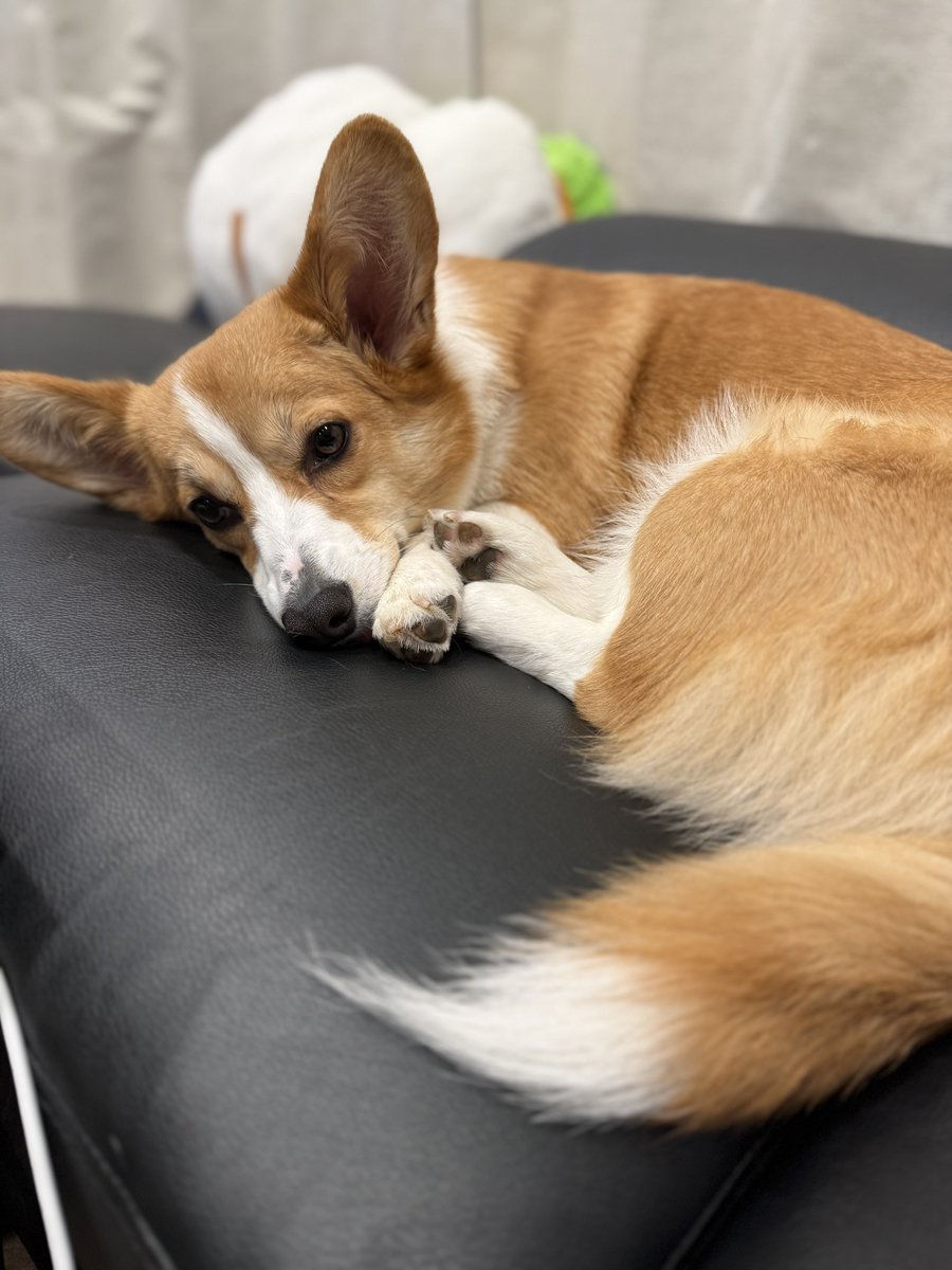 ゆーく tweet media