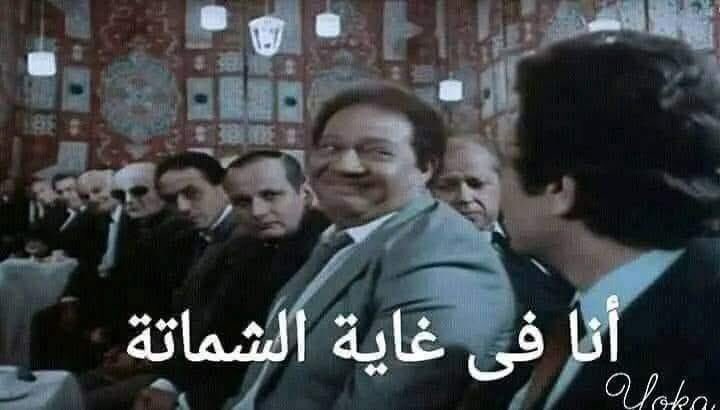 zezo islam tweet media