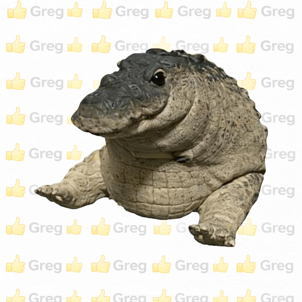 Greg 👍🏼 tweet media