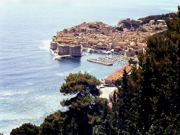 Yugoslavian Visuals tweet media