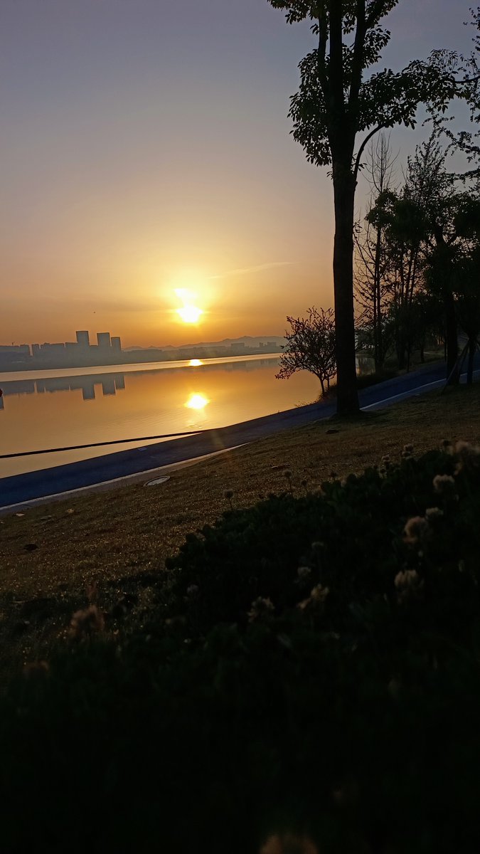 Follow Back ! tweet media