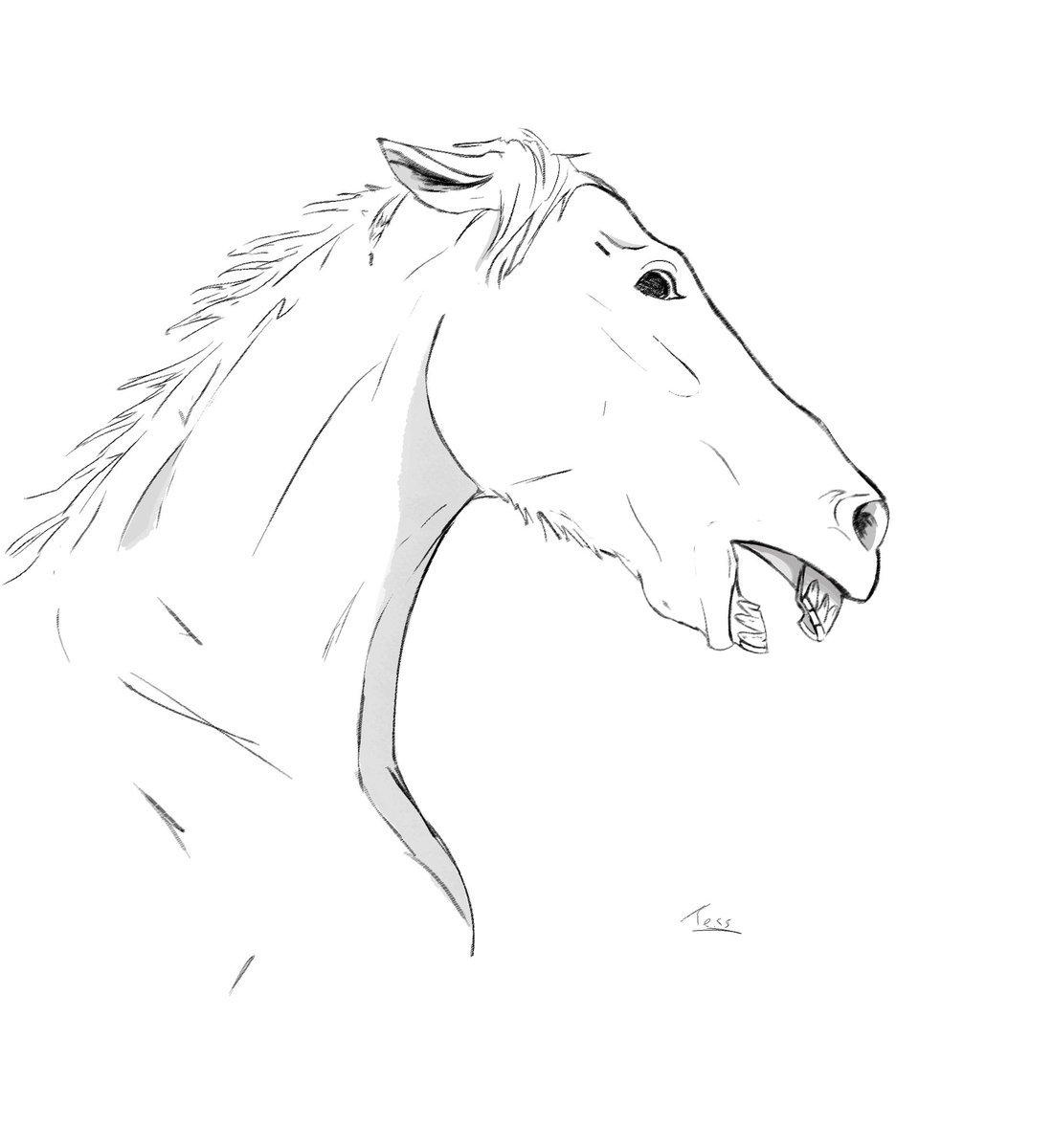 Zelkova ✧ 🇵🇸 tweet media