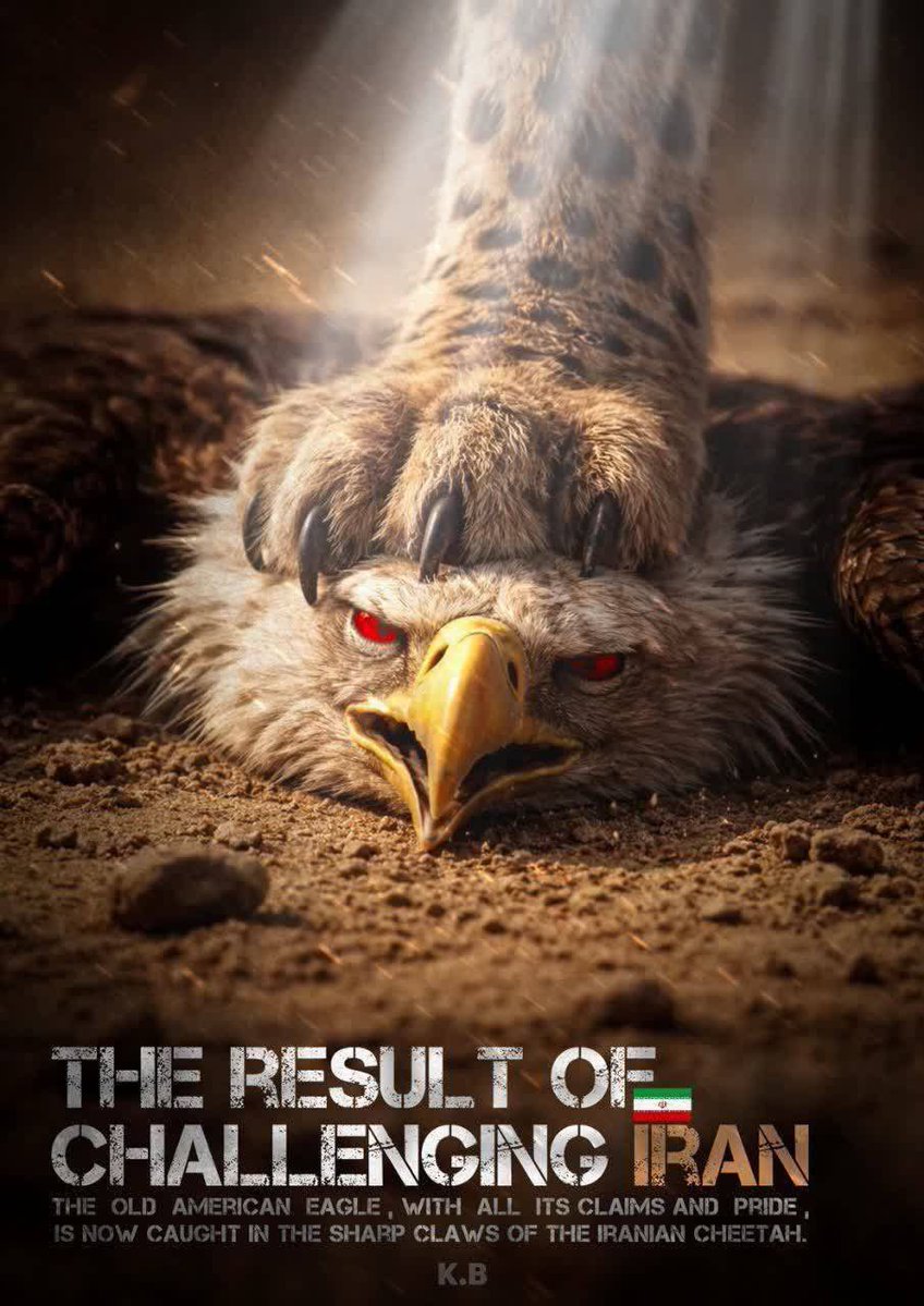 S.Abbas Mousavi | سیدعباس موسوی tweet media