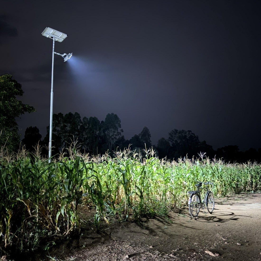 Blue Carbon Solar floodlights are engineered for performance and durability. This all-in-one solar lighting solution delivers powerful illumination (180 lm/W) to keep your compound bright, safe, and secure every night.
🔋 8000mAh Lithium Battery (3.2V) – reliable energy storage