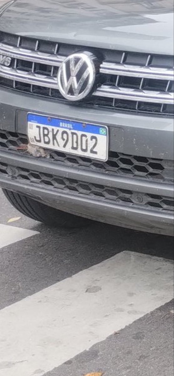 EXTRANJEROS COMETIENDO DELITOS EN ARGENTINA tweet media