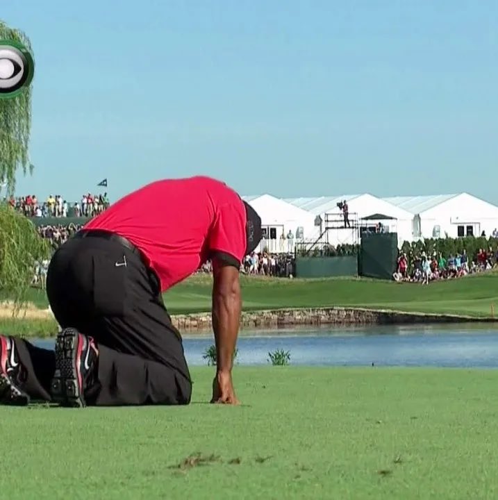 Nick Watts tweet media