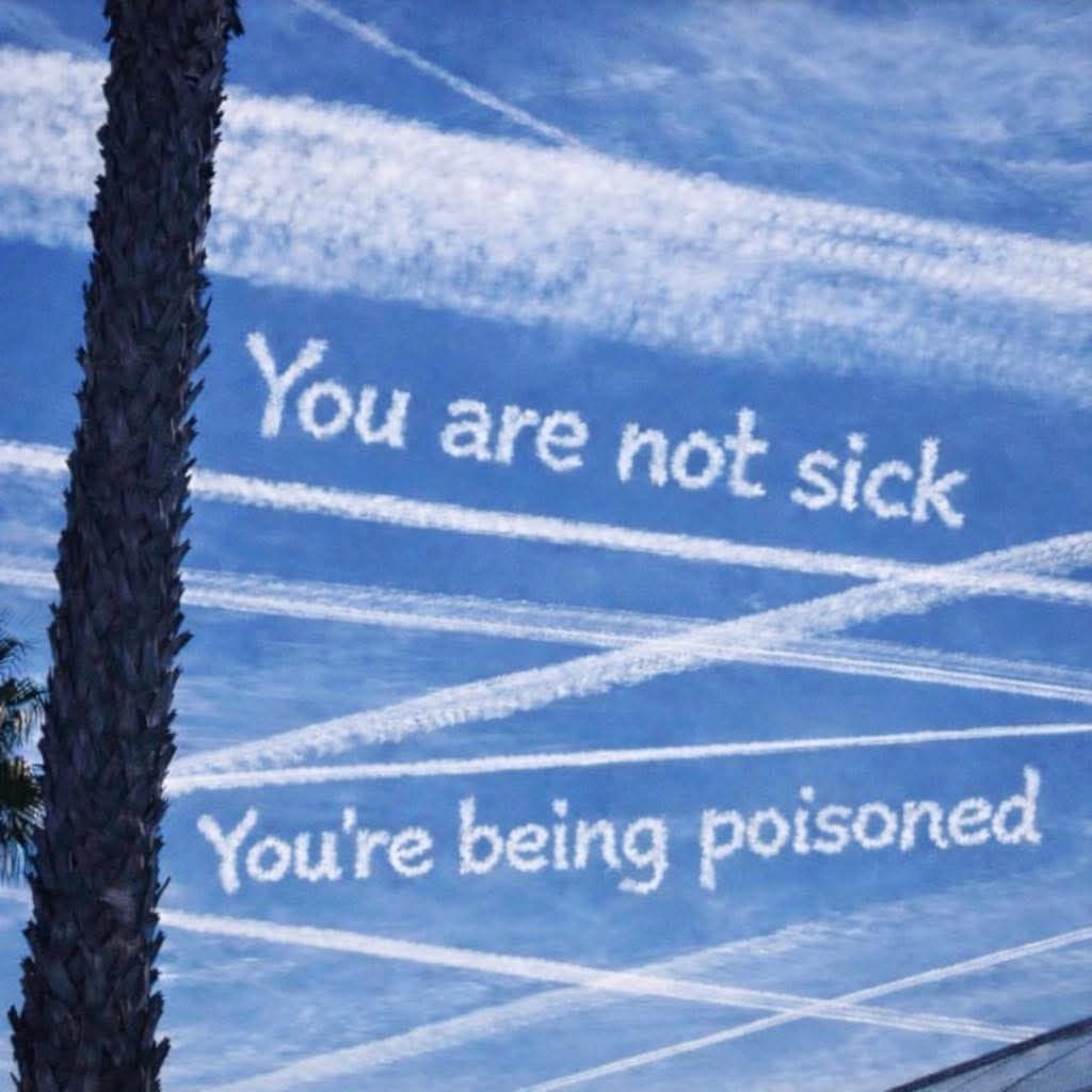 David Wolfe tweet media