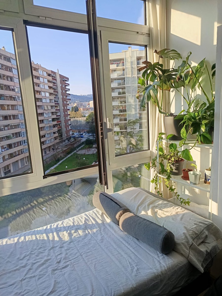 rikhalid ustrell tweet media