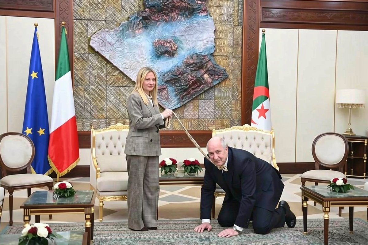 abdelkarime1122 tweet media