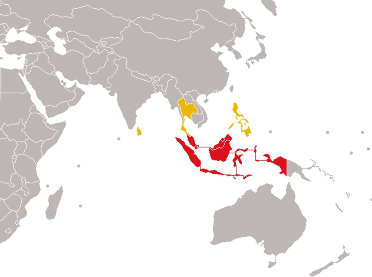 Libya Field Notes tweet media