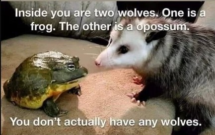 October Ferguson tweet media