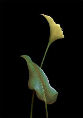 Lenka_XXX - Lenka Šrámeková tweet media