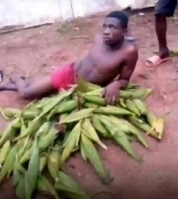 LastBornOfAfrica tweet media