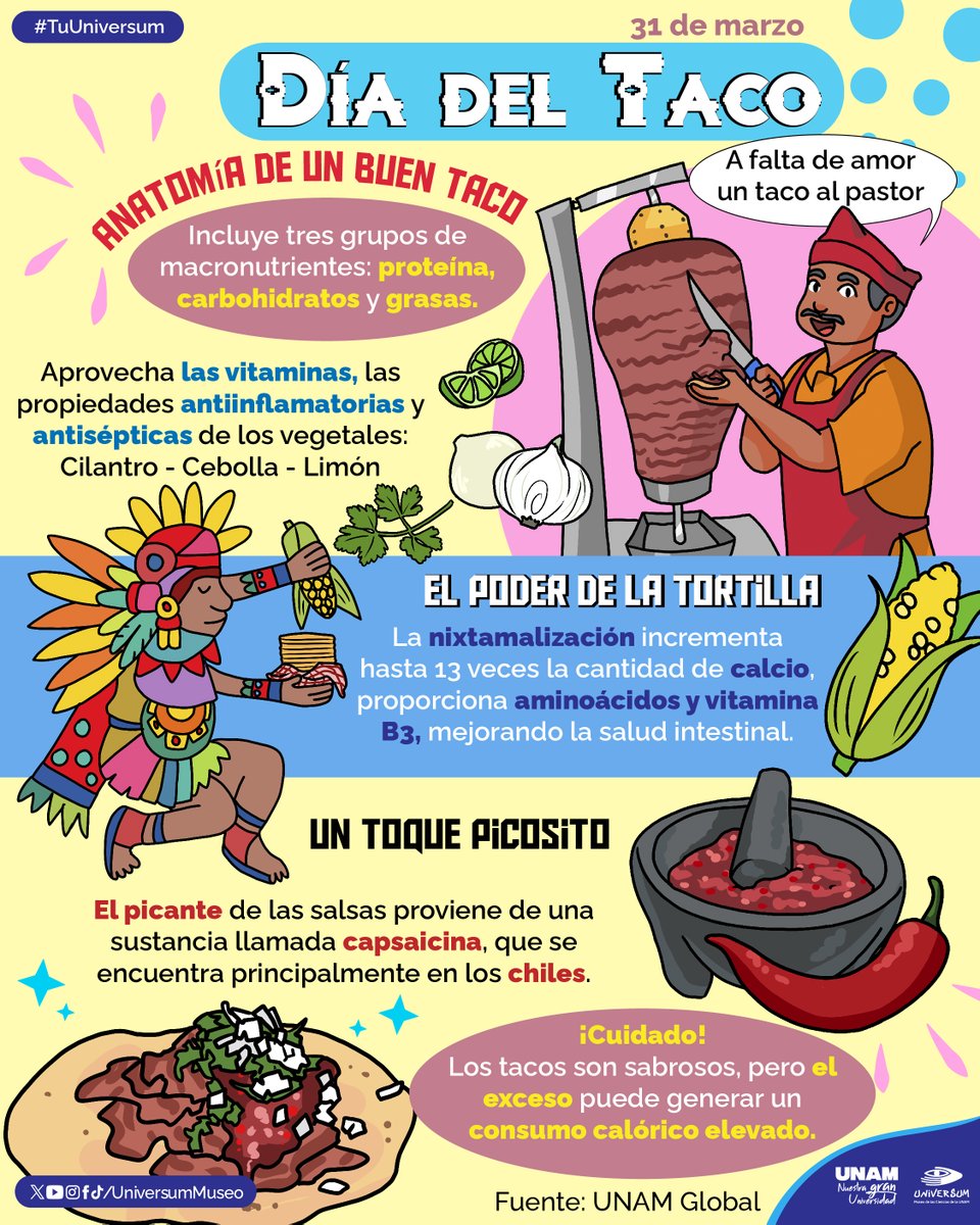 Universum Museo tweet media