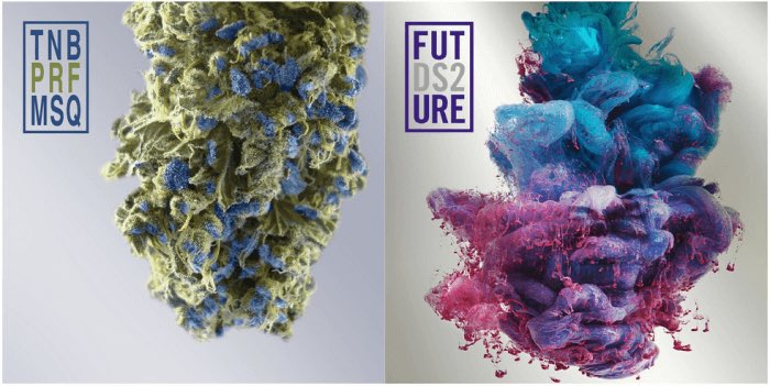 baka flocka flame ↙↙↙ tweet media