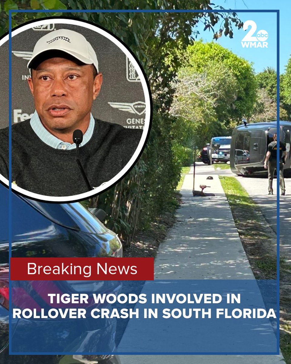 Adam Webster tweet media