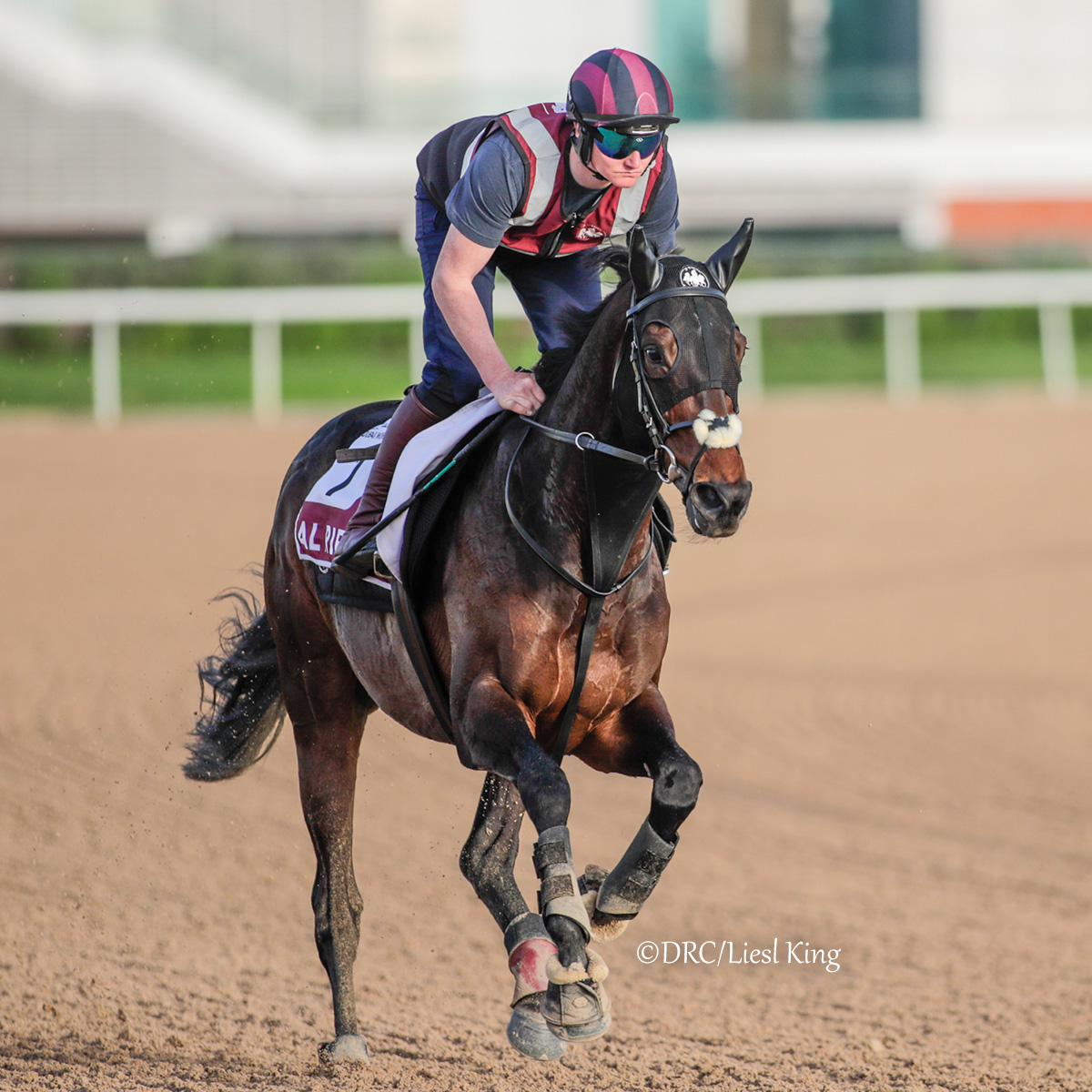 TDN tweet media