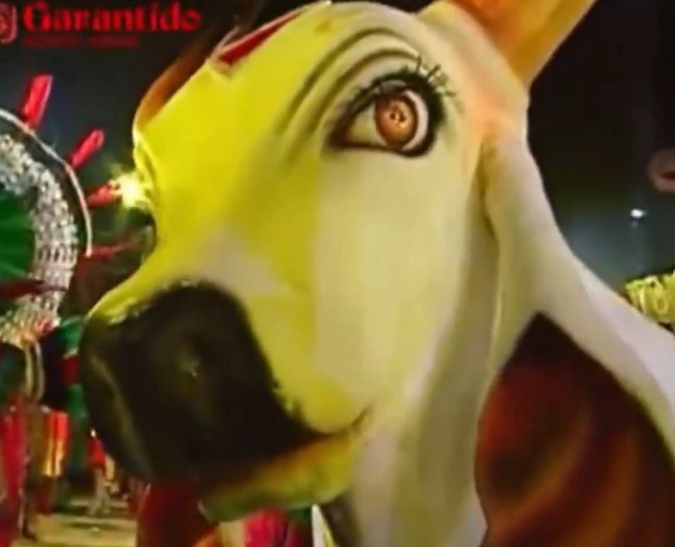 Acervo Boi Garantido tweet media