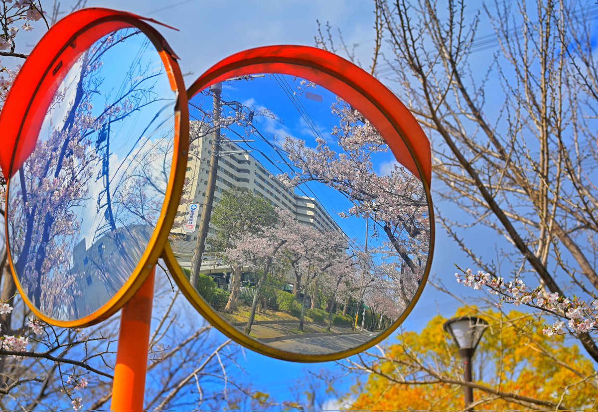 あっくんさん📷️ tweet media