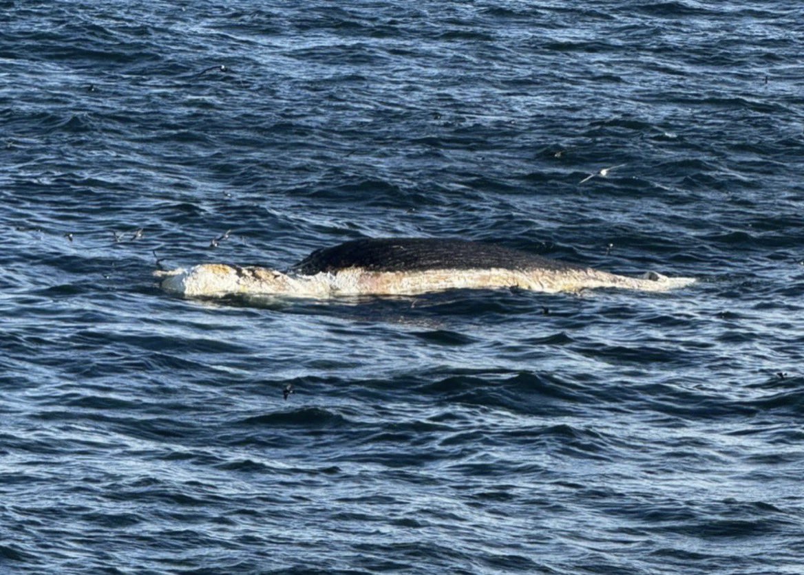 Juan Ceretta 🇺🇾 tweet media