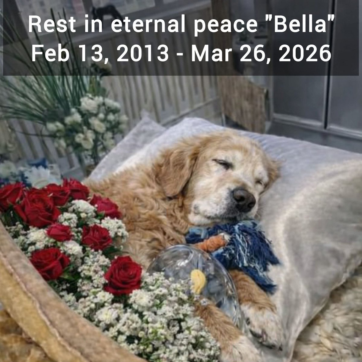 Eman (@eman5695) on Twitter photo 