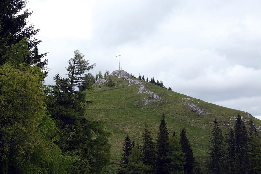 Dom Wolves tweet media