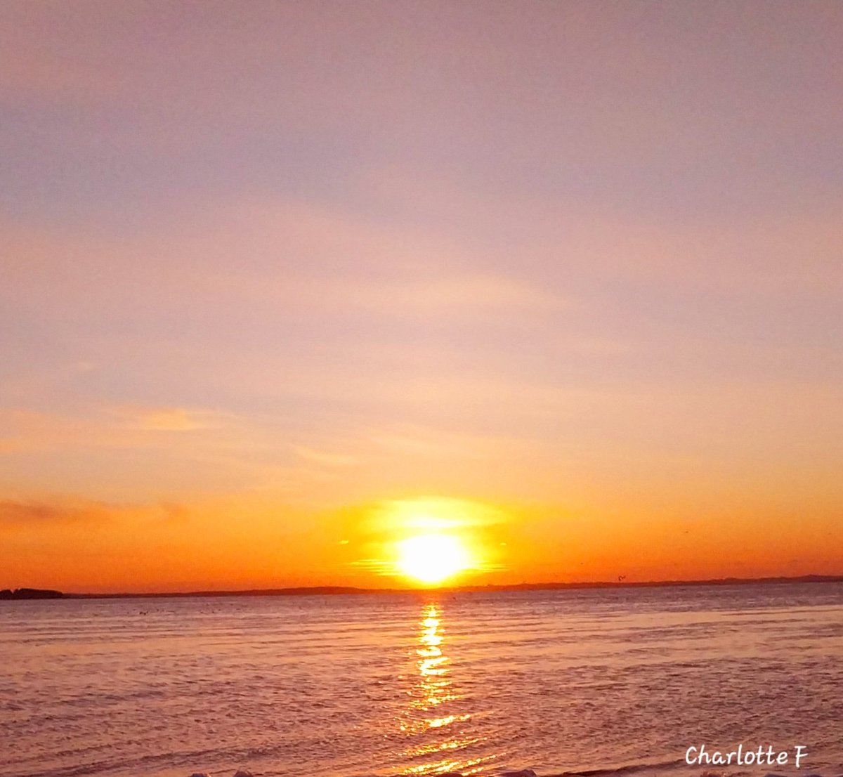 Charlotte tweet media