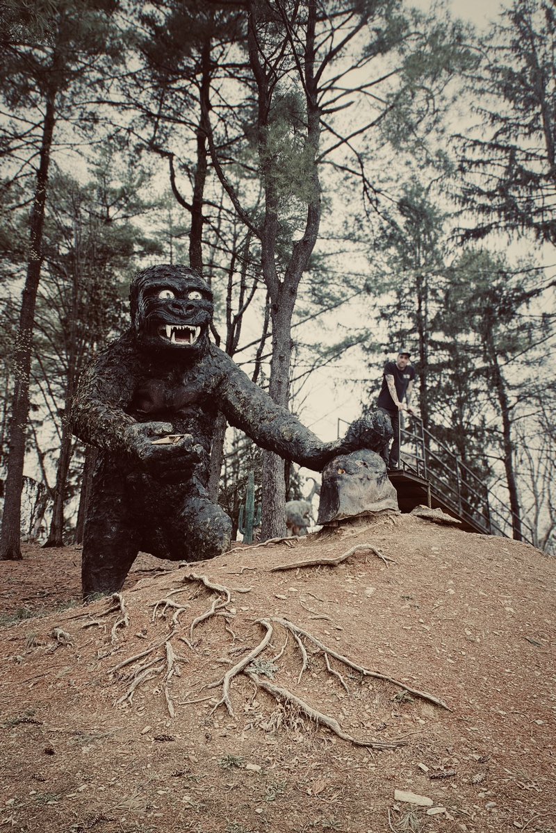 Shane Cashman tweet media