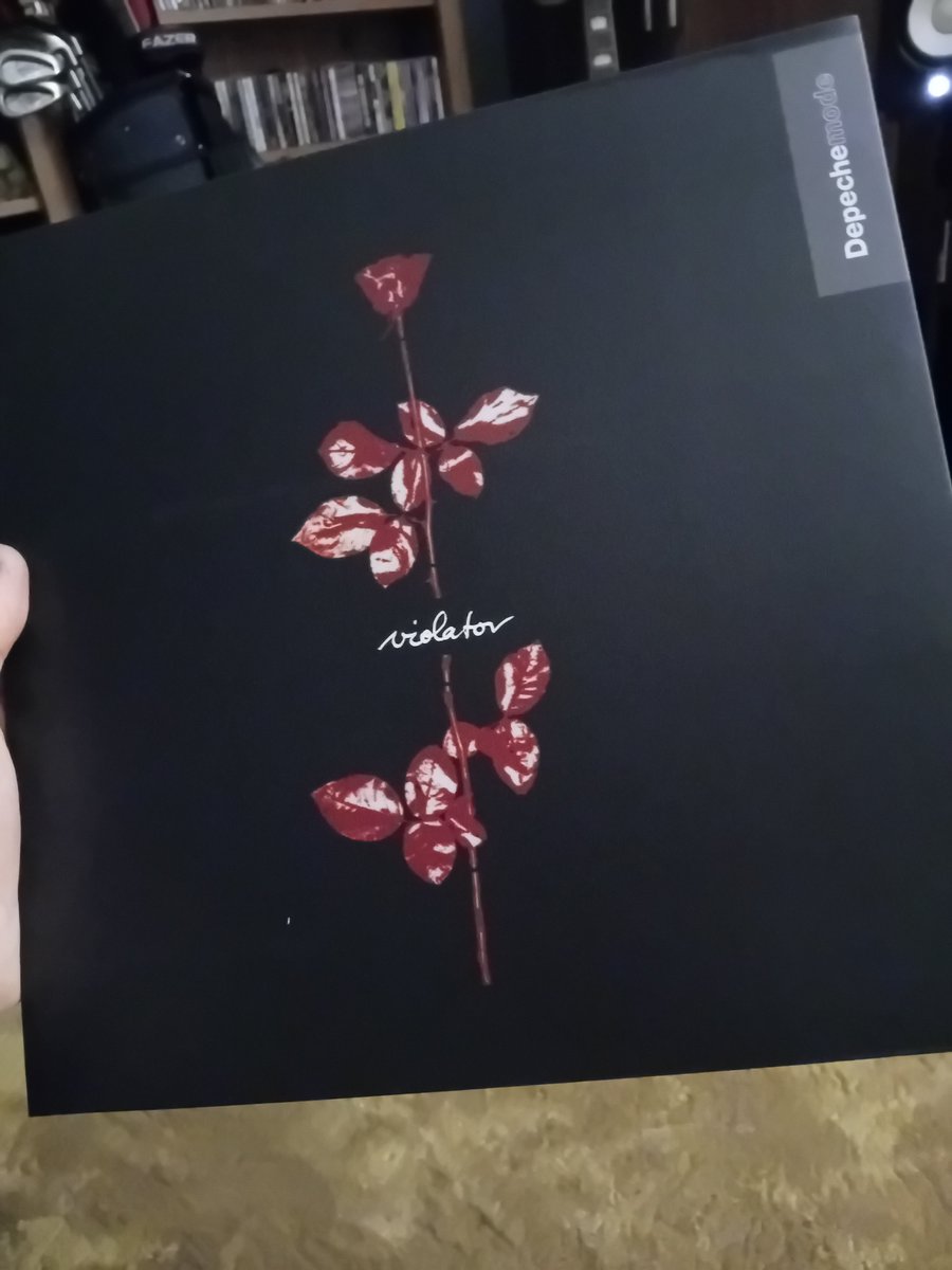 Vinyl Rocks🎶 tweet media