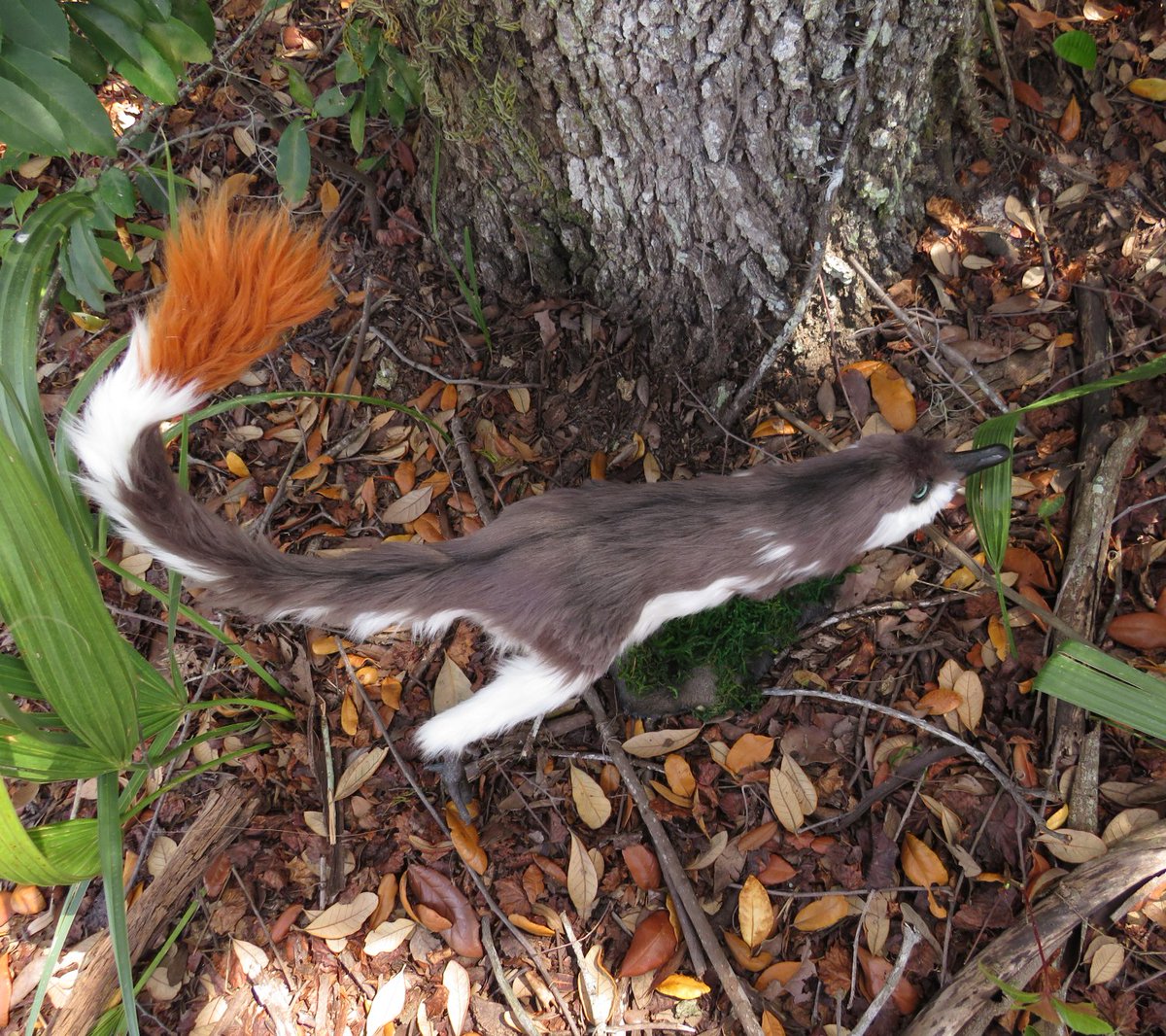 Lyn Joyce tweet media