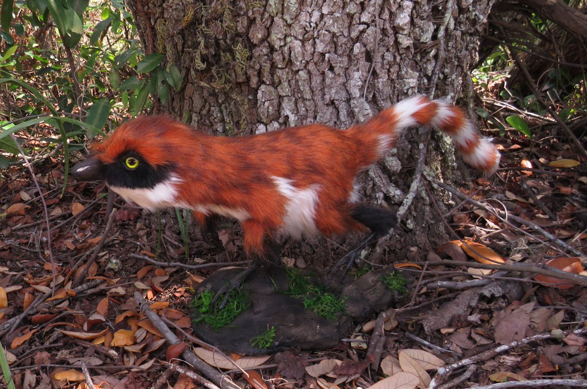 Lyn Joyce tweet media