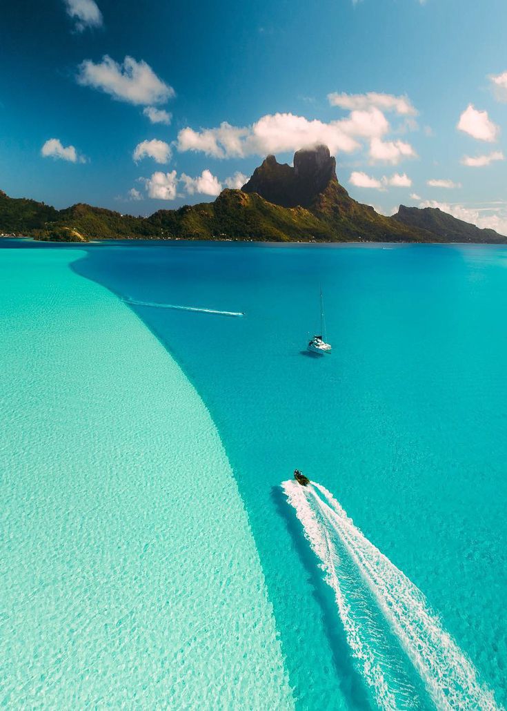 WanderAura 🌍 tweet media